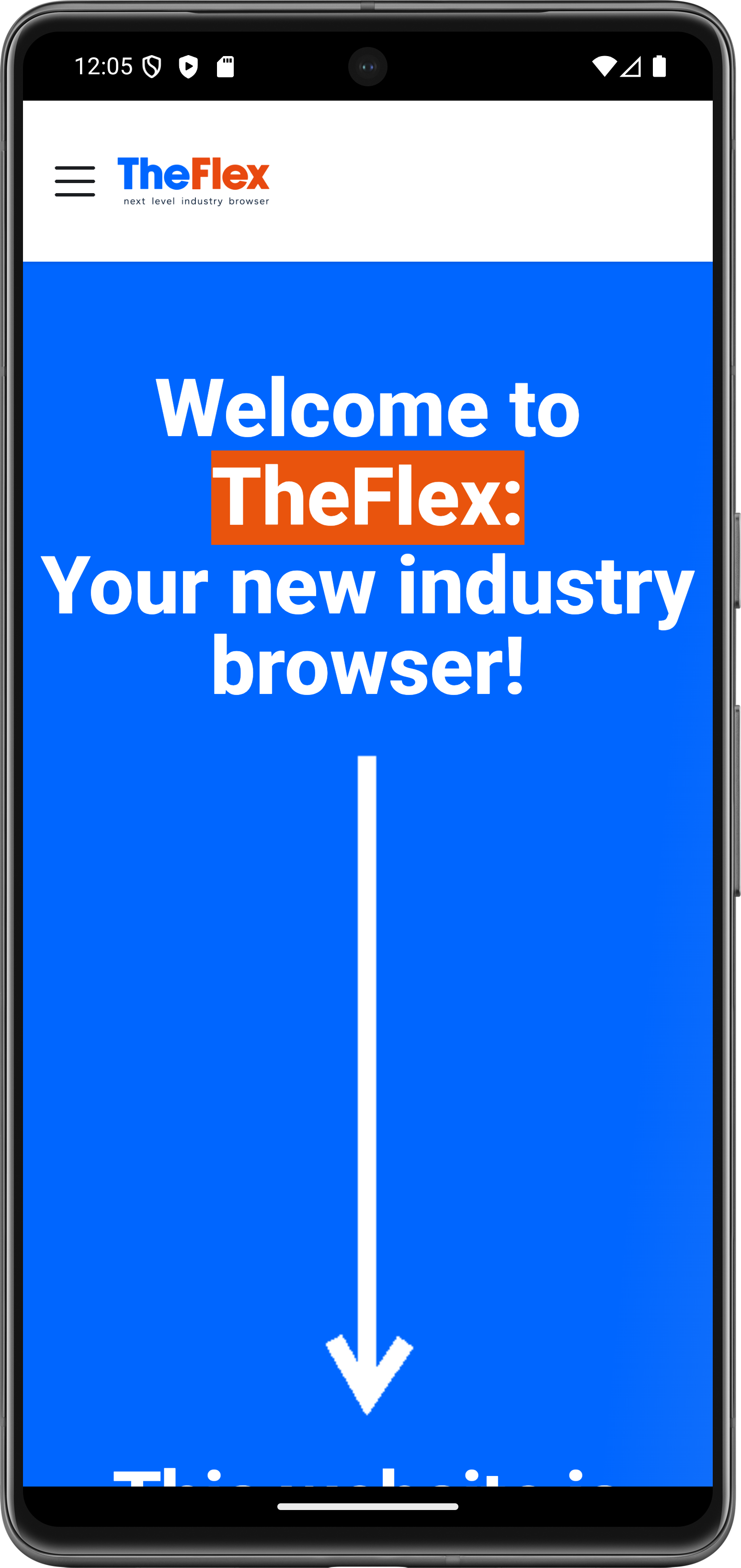theflexbrowser.com at 100% zoom